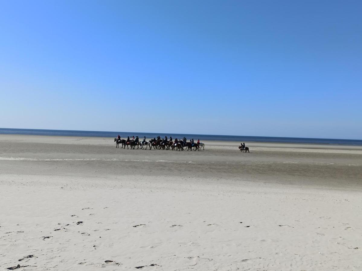 Gite Les Chalets Du Fliers Verton Meubles De Tourisme Classes 2 Etoiles Berck Exteriör bild