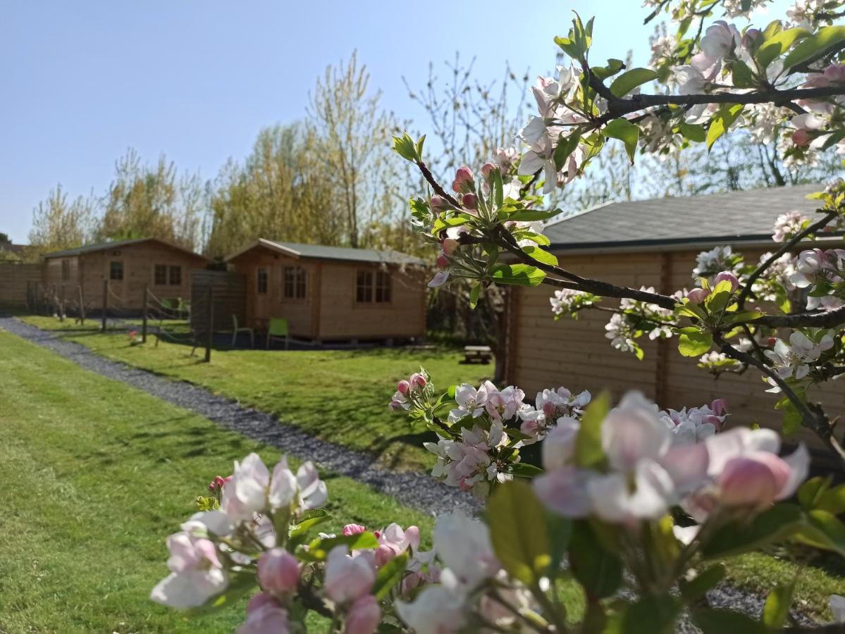 Gite Les Chalets Du Fliers Verton Meubles De Tourisme Classes 2 Etoiles Berck Exteriör bild