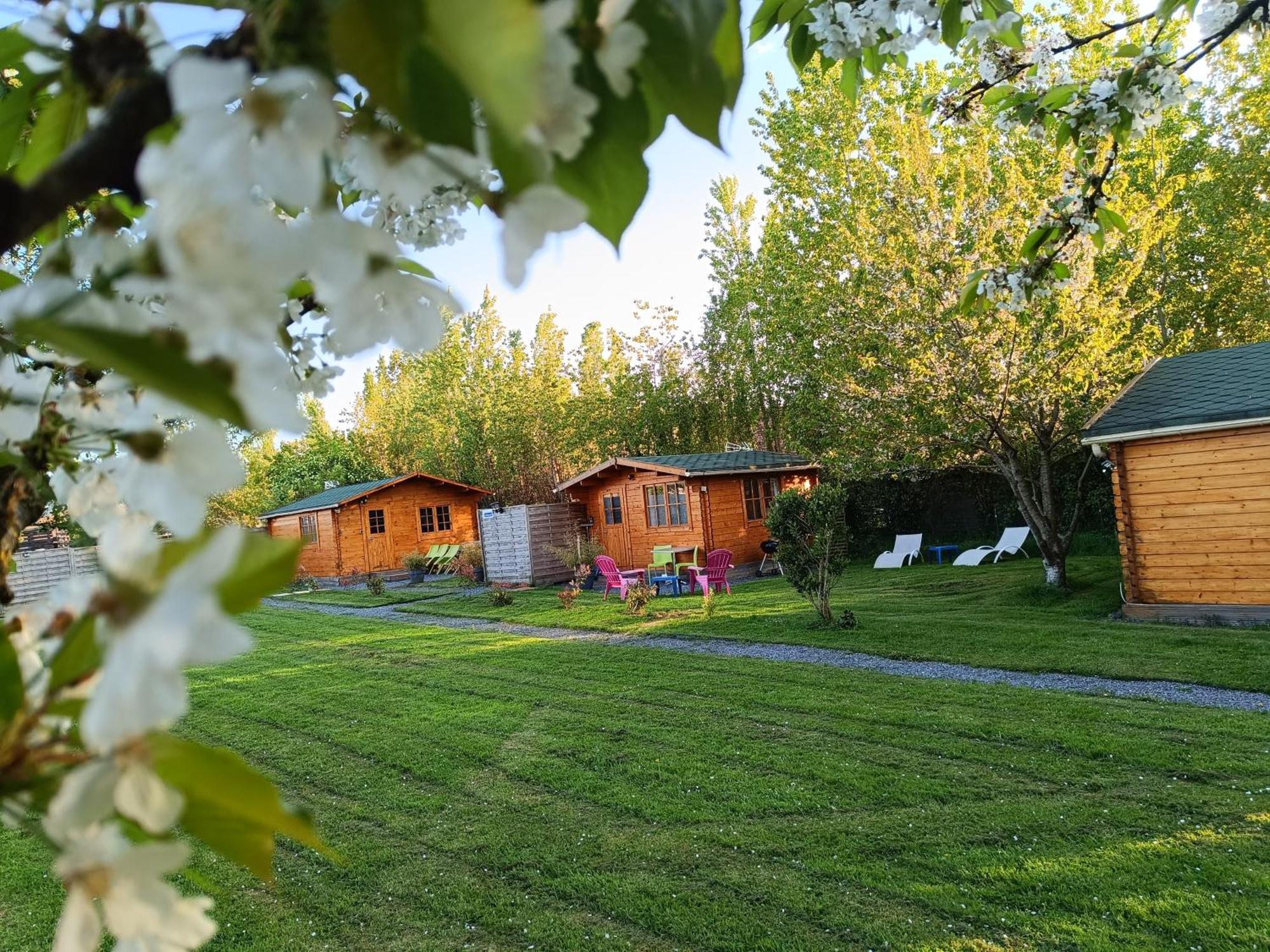 Gite Les Chalets Du Fliers Verton Meubles De Tourisme Classes 2 Etoiles Berck Rum bild